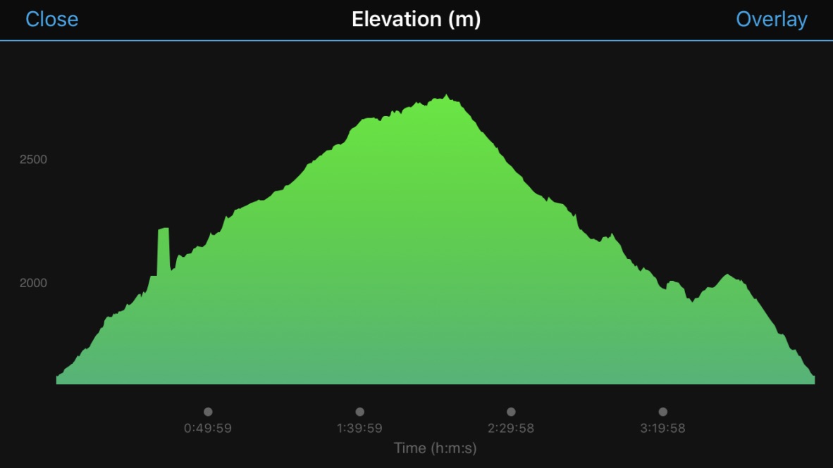 UNADJUSTEDNONRAW_thumb_4566